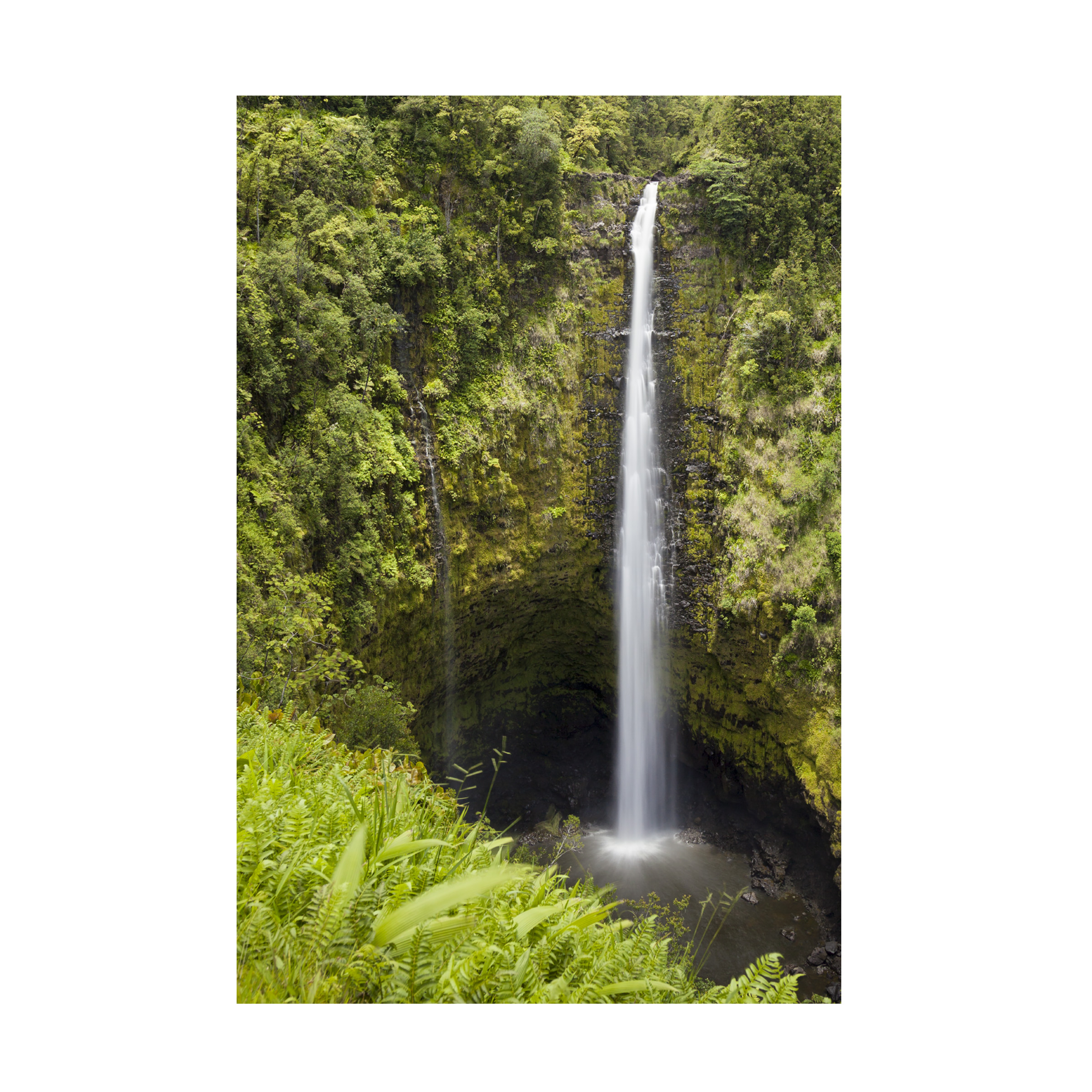 Chris Moyer 'Akaka Falls' Canvas Art