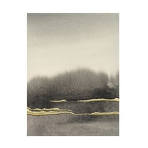 Chris Paschke 'After the Storm II Crop' Canvas Art