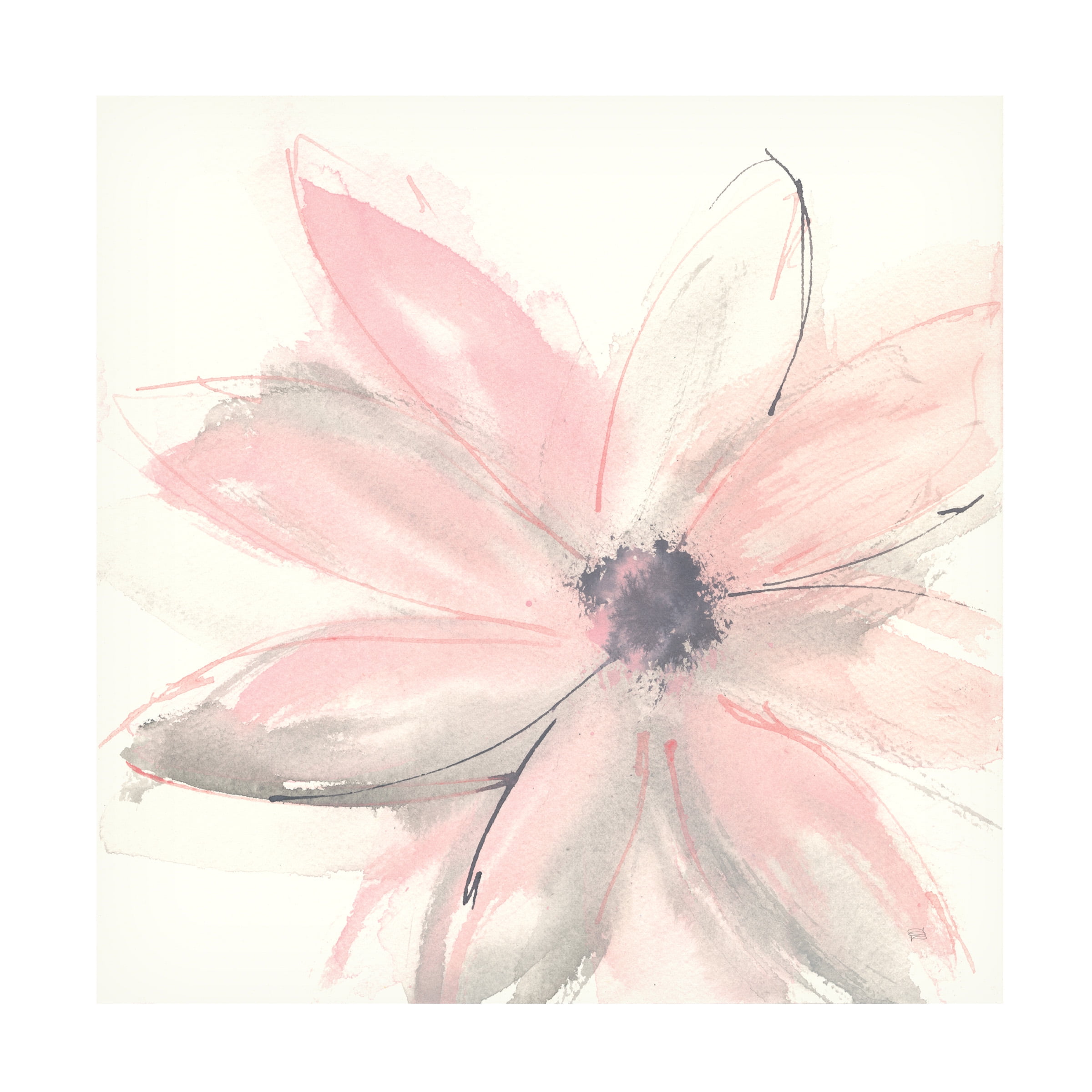 Trademark Fine Art Chris Paschke Blush Clematis I Canvas Wall Art - 24x24