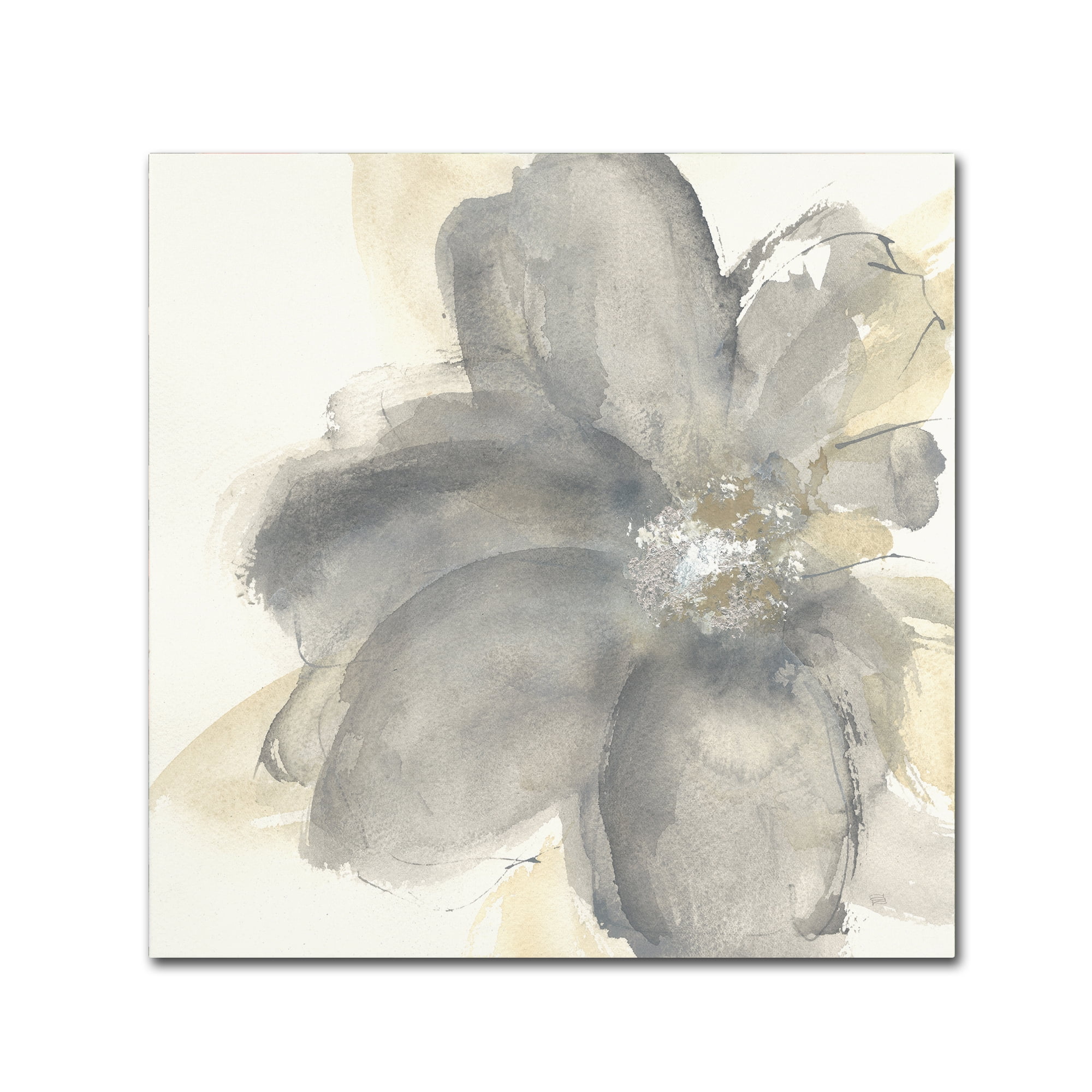 Floral Gray I Contemporary Canvas Art with Floater Frame, 14" x 14"