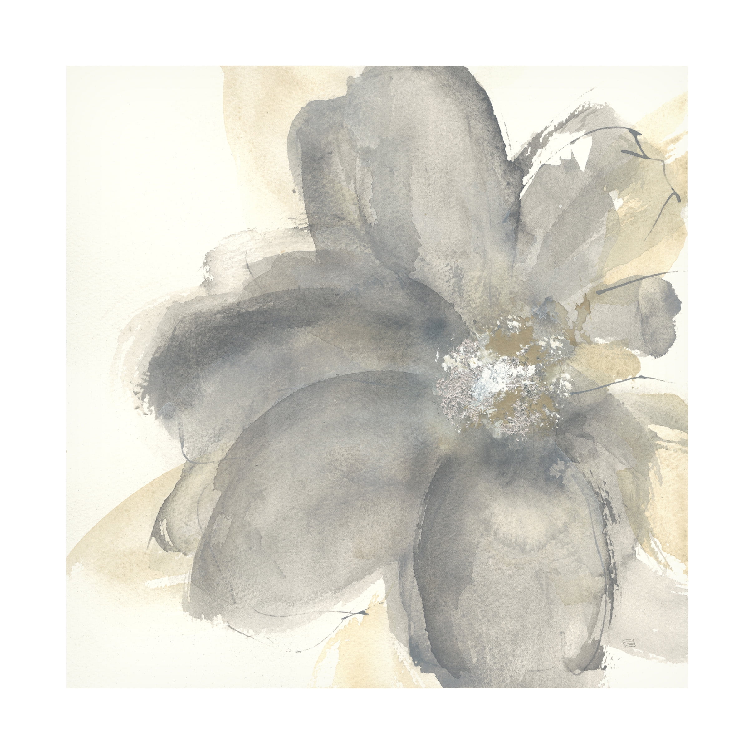 Trademark Fine Art Chris Paschke Floral Gray I Canvas Wall Art - 24x24