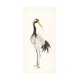 thumbnail image 1 of Chris Paschke 'Scroll Crane II Warm' Canvas Art, 1 of 3