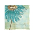 thumbnail image 1 of Chris Paschke 'Spa Daisies III' Canvas Art, 1 of 4
