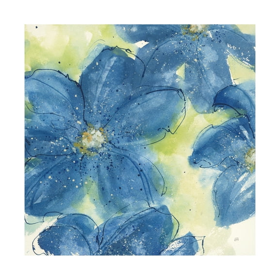 Chris Paschke 'Starlight Clematis II' Canvas Art