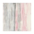 thumbnail image 1 of Chris Paschke 'Whitewashed Blush I Pink Gray' Canvas Art, 1 of 4