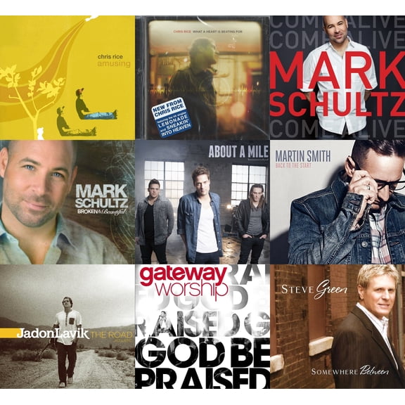 Chris Rice Amusing & What a Heart is Beating For +More CCM Bundle Pack 10CD