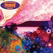 Chris Robinson - Phosphorescent Harvest - Music & Performance - CD