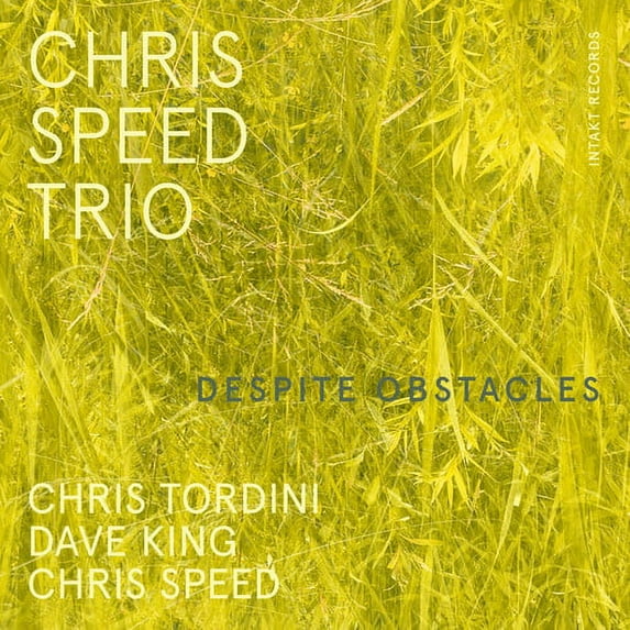Chris Speed Trio - Despite Obstacles - Music & Performance - CD