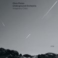 thumbnail image 1 of Chris Underground Orchestra Potter - Chris Potter Orchestra - Music & Performance - Vinyl, 1 of 1