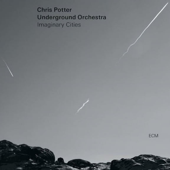 Chris Underground Orchestra Potter - Chris Potter Orchestra - Music & Performance - Vinyl