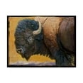 thumbnail image 1 of Chris Vest 'Bison Portrait Iii' Canvas Art, 1 of 4