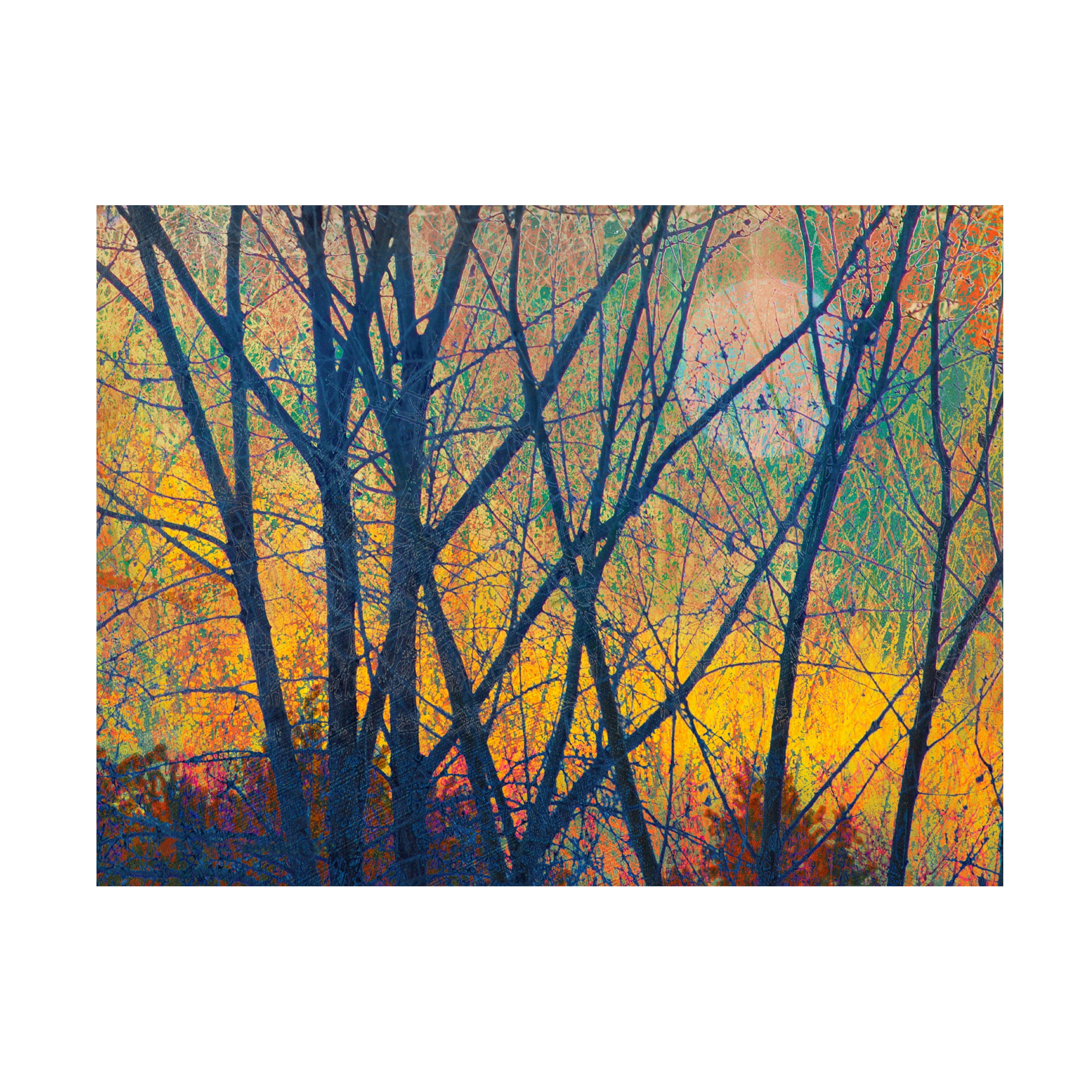 Vibrant Sunset Trees Landscape Canvas Art 19" x 14"