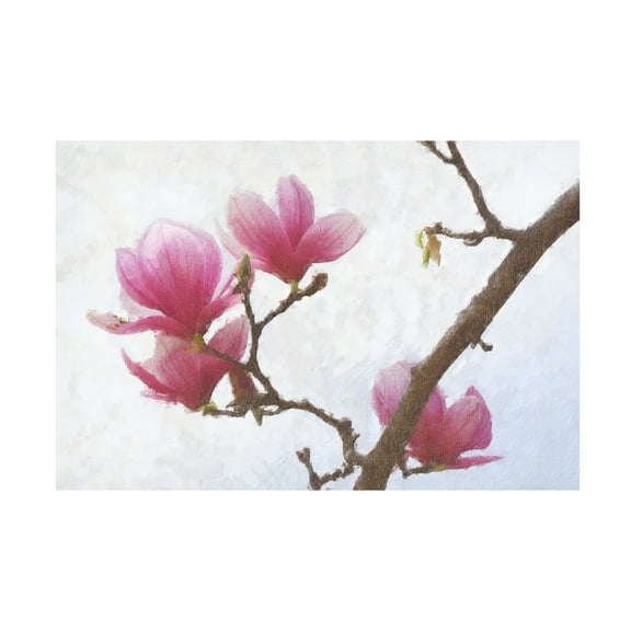Chris Vest 'Painted Magnolias I' Canvas Art