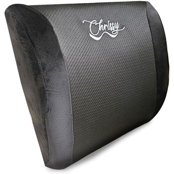 Chrissy Lumbar Support Pillow for Office Chair & Car, Memory Foam Back Cushion for Back Pain Relief & Posture Support, Breathable Mesh Cover, Adjustable Straps, Removable Washable Cover, Black