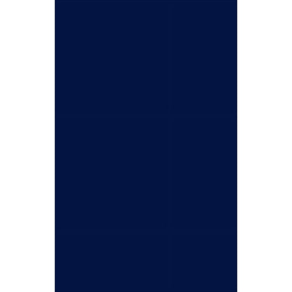 Christ Our Mediator (Hardcover)