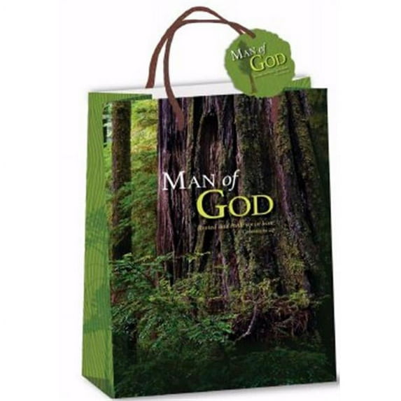 Christ to All 159542 Man of God Gift Bag - 7 x 9 x 4 in. - Colossians 2-6-7 KJV - Dec