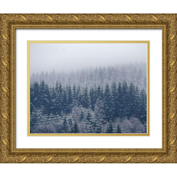 Christensen 24x19 Gold Ornate Wood Framed with Double Matting Museum Art Print Titled - Frozen Trees