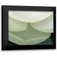 thumbnail image 1 of Christensen, Jim 14x12 Black Modern Framed Museum Art Print Titled - Lotus Detail V, 1 of 5