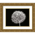 thumbnail image 1 of Christensen, Jim 14x12 Gold Ornate Wood Framed with Double Matting Museum Art Print Titled - Dandelion 1, 1 of 4