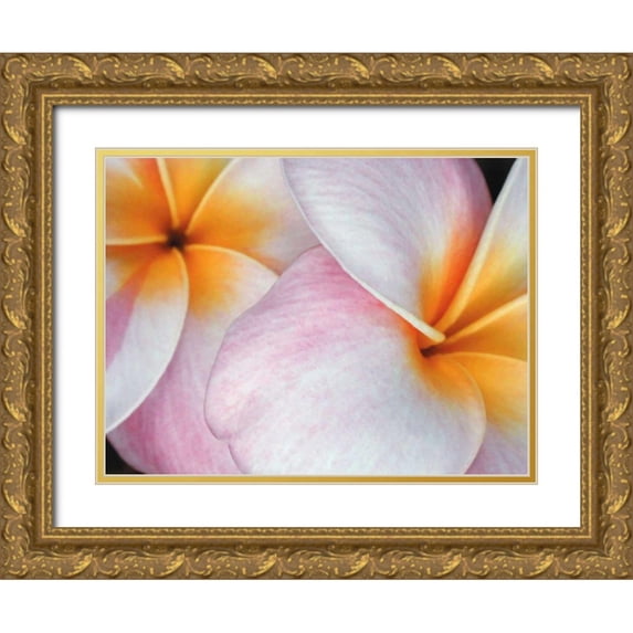 Christensen, Jim 14x12 Gold Ornate Wood Framed with Double Matting Museum Art Print Titled - Flowers I