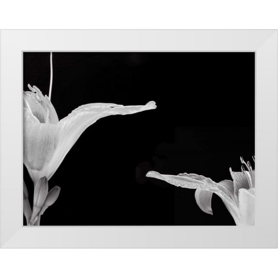Christensen, Jim 14x12 White Modern Wood Framed Museum Art Print Titled - Lilies II