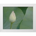 thumbnail image 1 of Christensen, Jim 14x12 White Modern Wood Framed Museum Art Print Titled - Lotus Detail VII, 1 of 4