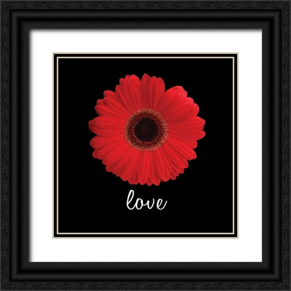 Christensen, Jim 15x15 Black Ornate Wood Framed with Double Matting Museum Art Print Titled - Love Daisy