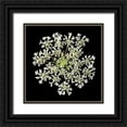 thumbnail image 1 of Christensen, Jim 15x15 Black Ornate Wood Framed with Double Matting Museum Art Print Titled - Queen Annes Lace II, 1 of 4