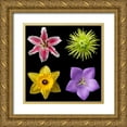 thumbnail image 1 of Christensen, Jim 15x15 Gold Ornate Wood Framed with Double Matting Museum Art Print Titled - Flower Group 1, 1 of 4