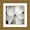 thumbnail image 1 of Christensen, Jim 15x15 Gold Ornate Wood Framed with Double Matting Museum Art Print Titled - Magnolia III, 1 of 4