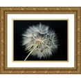 thumbnail image 1 of Christensen, Jim 18x15 Gold Ornate Wood Framed with Double Matting Museum Art Print Titled - Goats Beard 2, 1 of 4