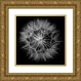 thumbnail image 1 of Christensen, Jim 20x20 Gold Ornate Wood Framed with Double Matting Museum Art Print Titled - Goats Beard V, 1 of 4