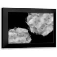 thumbnail image 1 of Christensen, Jim 24x19 Black Modern Framed Museum Art Print Titled - Hydrangea, 1 of 5