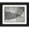 thumbnail image 1 of Christensen, Jim 24x19 Black Ornate Wood Framed with Double Matting Museum Art Print Titled - Leaf Designs II BW, 1 of 4