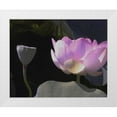 thumbnail image 1 of Christensen, Jim 24x20 White Modern Wood Framed Museum Art Print Titled - Blushing Lotus III, 1 of 4