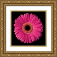 thumbnail image 1 of Christensen, Jim 26x26 Gold Ornate Wood Framed with Double Matting Museum Art Print Titled - Pink Gerbera Daisy, 1 of 4