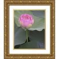 thumbnail image 1 of Christensen, Jim 26x32 Gold Ornate Wood Framed with Double Matting Museum Art Print Titled - Blushing Lotus II, 1 of 4