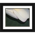 thumbnail image 1 of Christensen, Jim 32x25 Black Ornate Wood Framed with Double Matting Museum Art Print Titled - Lotus Detail II, 1 of 4