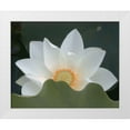 thumbnail image 1 of Christensen, Jim 32x26 White Modern Wood Framed Museum Art Print Titled - Delicate Lotus III, 1 of 4