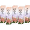 thumbnail image 1 of Christian 8’X2’ Bookmark for Women | Gift for Virtuous Woman | Proverbs 31 (Spanish, 25 Pack), 1 of 4