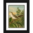 thumbnail image 1 of Christian Anton Goering 11x14 Black Ornate Wood Framed Double Matted Museum Art Print Titled: The North American Vogelwelt Pl04 (1891), 1 of 5