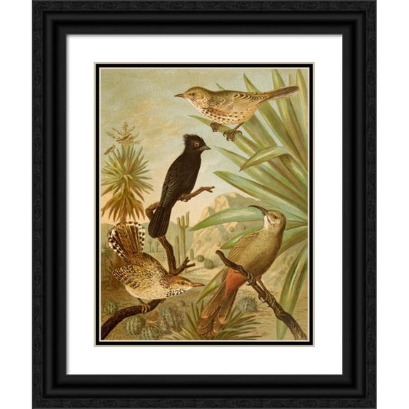 Christian Anton Goering 12x14 Black Ornate Wood Framed Double Matted Museum Art Print Titled: The North American Vogelwelt Pl03 (1891)