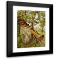 thumbnail image 1 of Christian Anton Goering 18x24 Black Modern Framed Museum Art Print Titled - The North American Vogelwelt Pl33 (1891), 1 of 5
