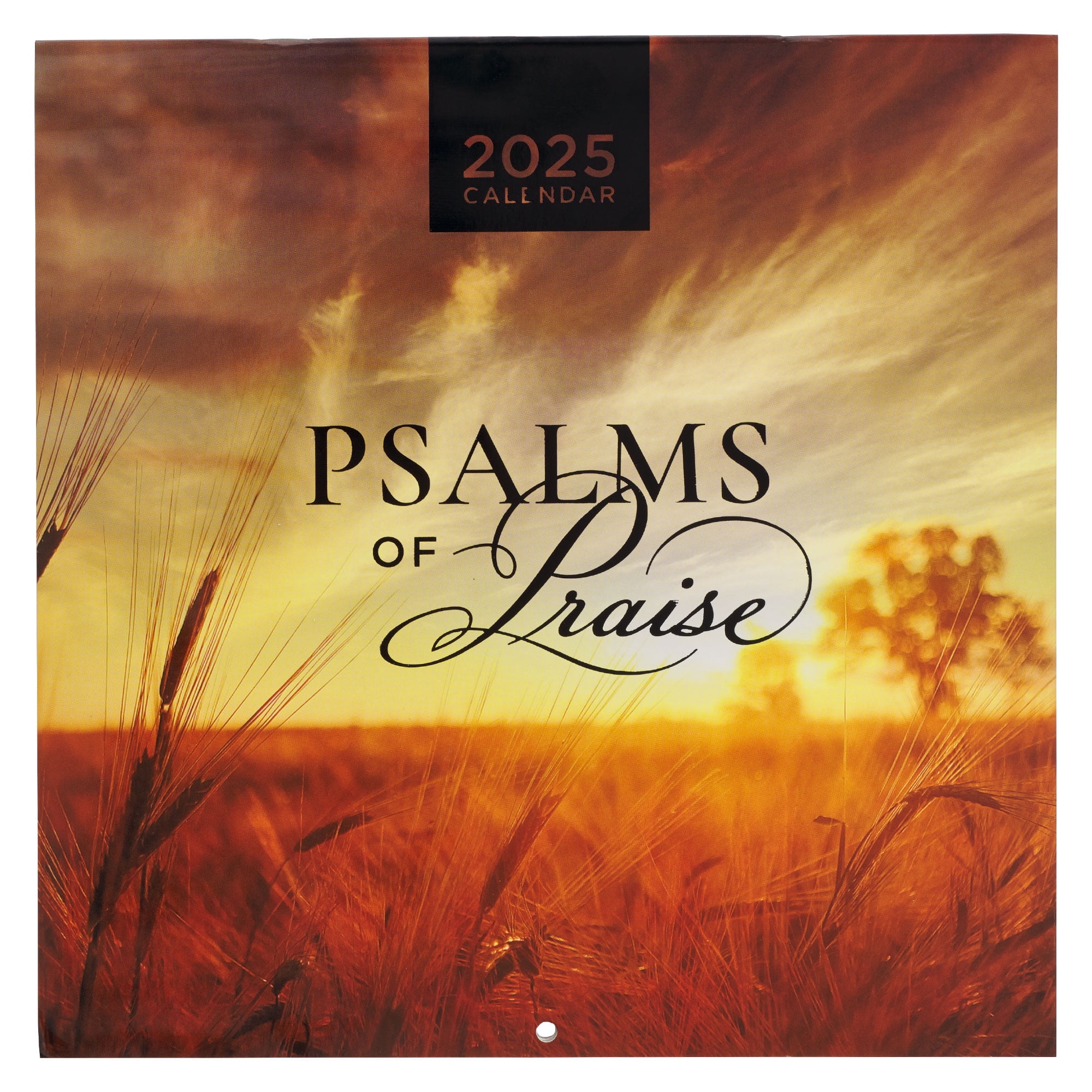 Christian Art Gifts 2025 Large Wall Calendar Psalms of Praise