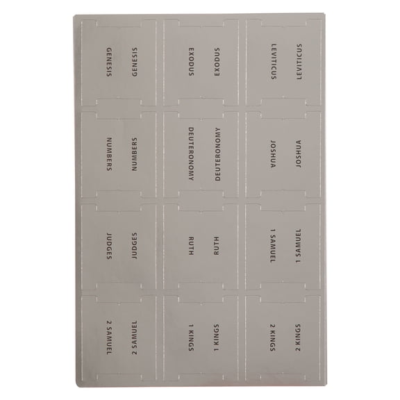 Christian Art Gifts Bible Indexing Tabs for Men & Women: Silver Self Adhesive Pre-cut Index Labels, Extra Study Stickers, 66 Bible Book Names Old/New Testament, 6 Easy Peel & Stick Sheets, Black Text