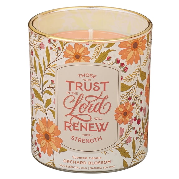 Christian Art Gifts Novelty Inspirational Scripture Glass Jar Candle for Women: Trust in the Lord Encouraging Bible Vers, (Hardcover)