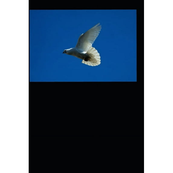 Christian Essays Paperback