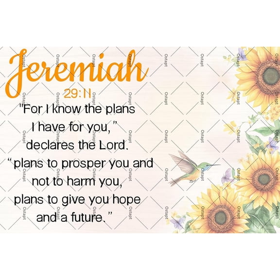 Christian Jeremiah 29:11 Metal Tin Sign For I Know The Plans I Have For You Jeremiah 29:11 Poster Bible Verse Scripture Wall Decor Church Religious Wall Decor Christian Quote Metal Plaque 8x12 Inch