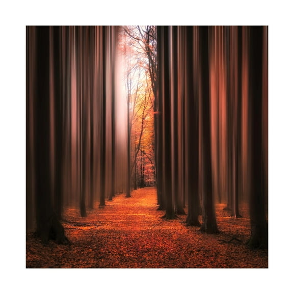 Christian Lindsten 'Dont Wake Me Up' Canvas Art