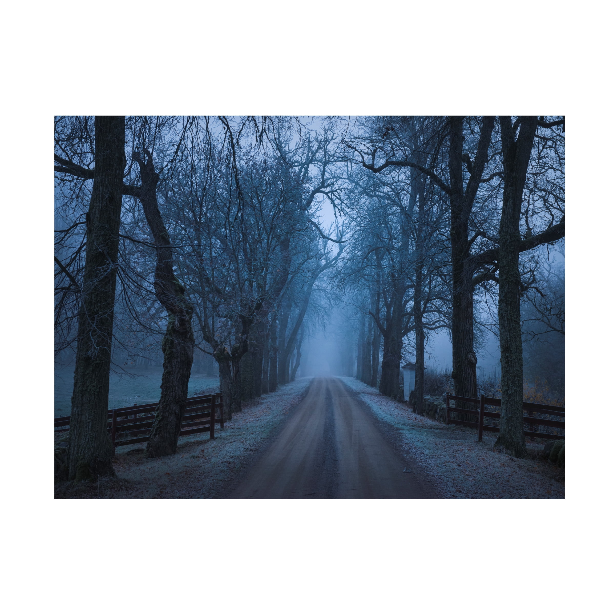 Christian Lindsten 'Sleepy Hollow' Canvas Art